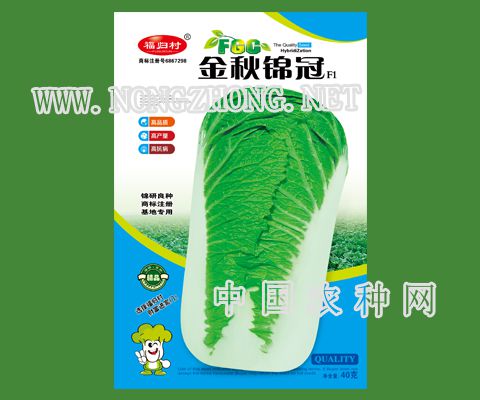 金秋锦冠